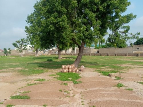 cemetry cemetry